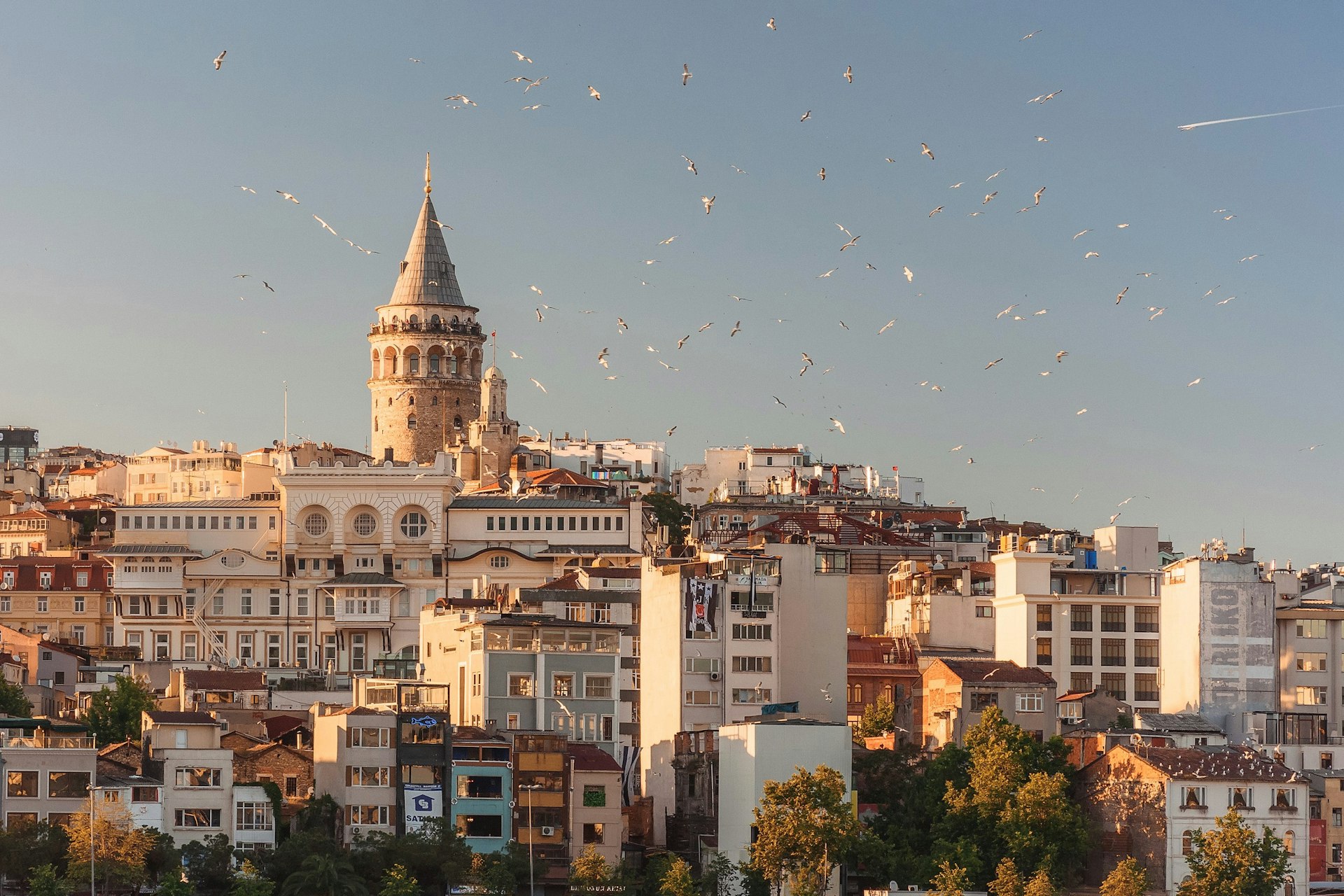 Türkiyədə Təhsil və Universitetlər